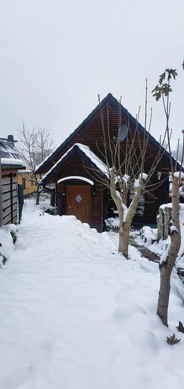 Ferienhaus-Wurzbach Exterior foto