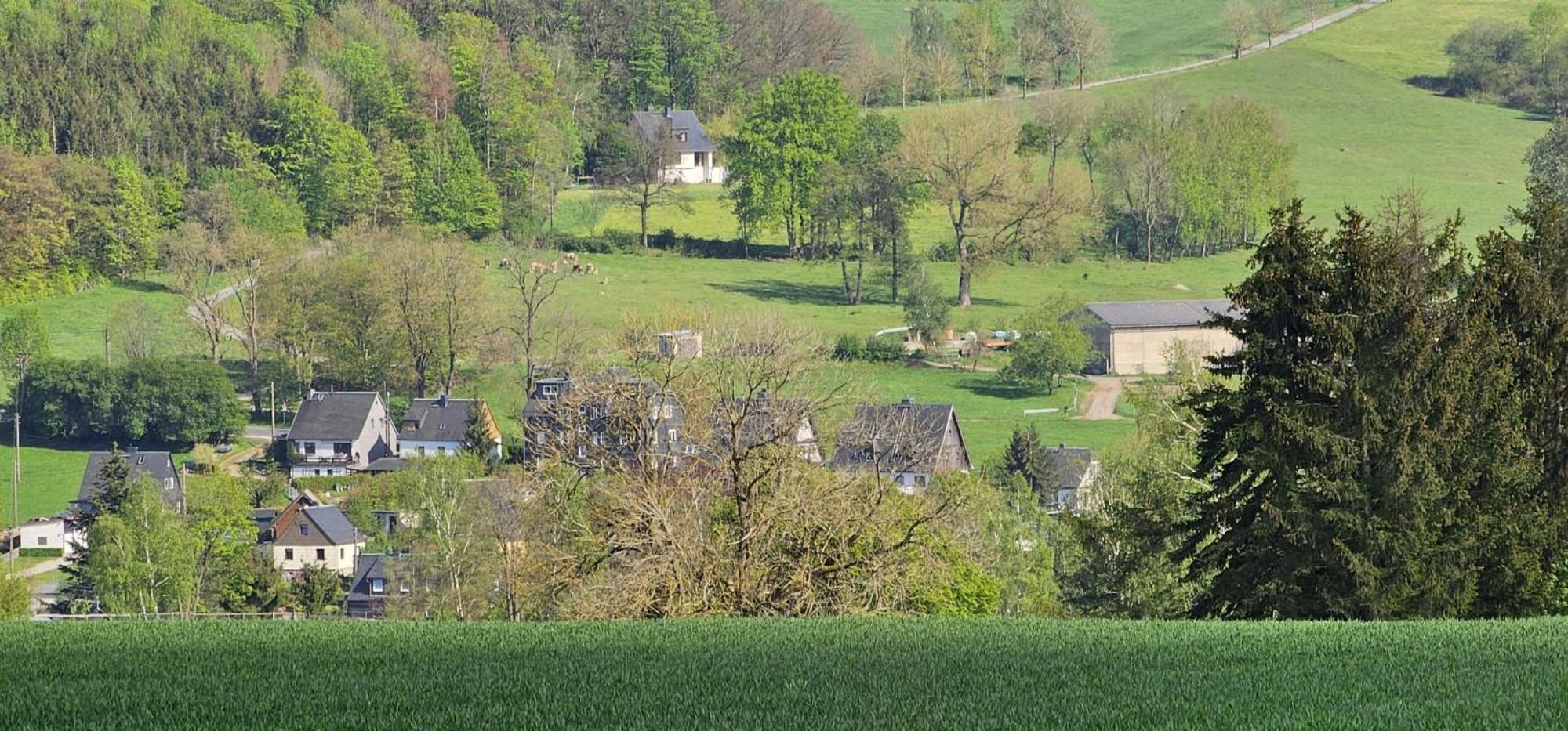 Ferienhaus-Wurzbach Exterior foto